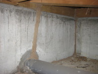 蟻道５（基礎）